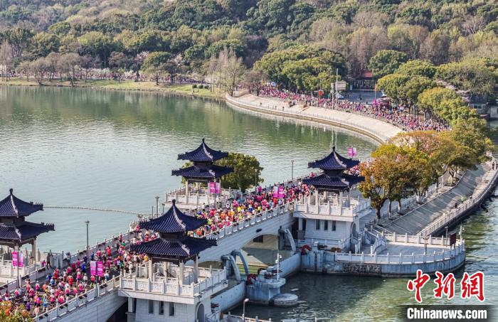 2025年锡马鸣枪起跑：三万五千名选手在江南水网